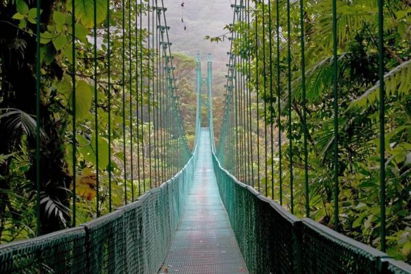 costa-rica-monteverde-cloud-forest-hanging-bridge